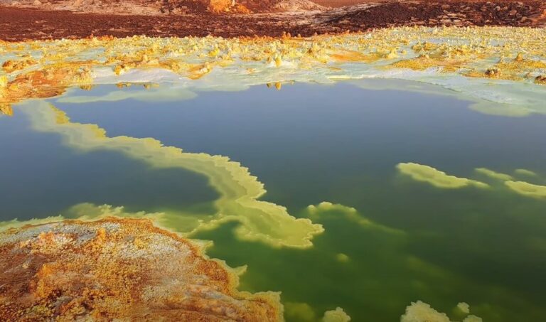 Life in the Danakil Depression Dallol