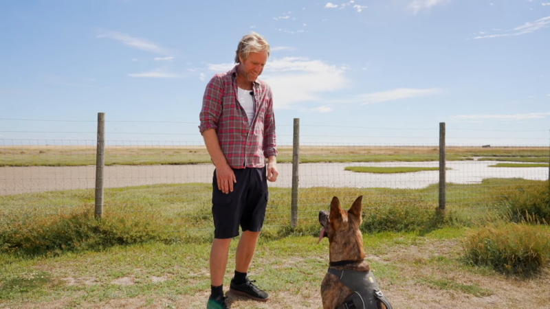 A Man Training His Dog Outdoors