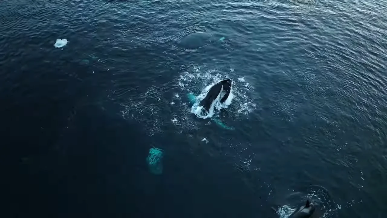 nature in europe