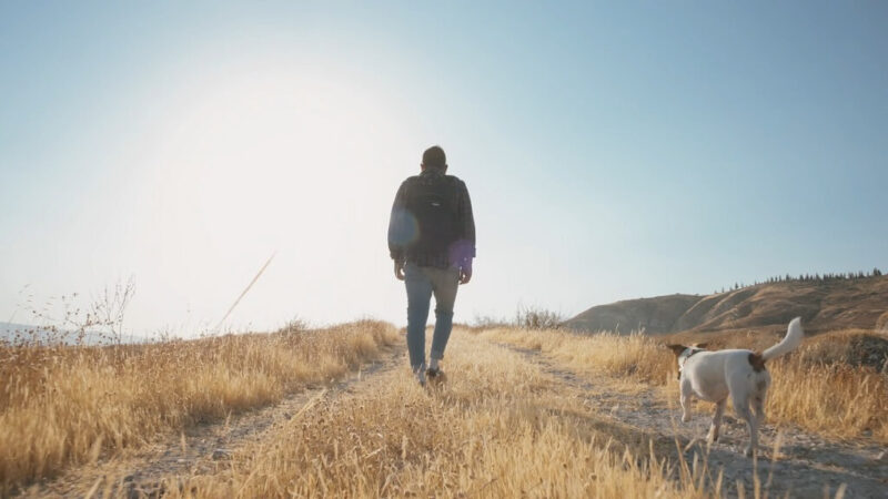 A person hiking along a dry trail with a dog in a grassy landscape under a bright sky