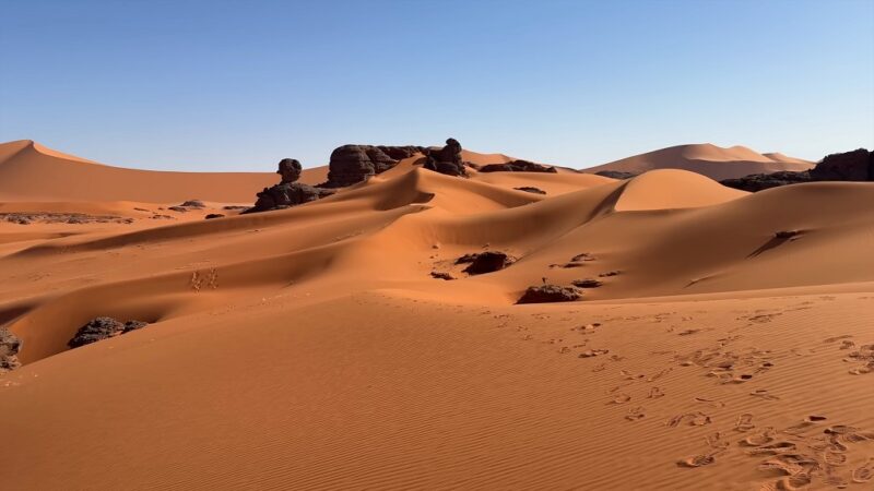 Wind-shaped sand dunes and rock formations in Tassili nโAjjer, part of the African desert in Algeria.