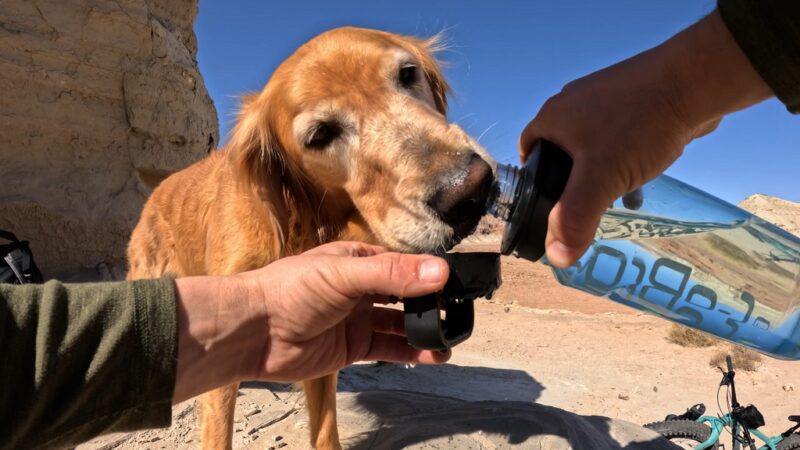 A dog drinking water from a bottle held by a person during an outdoor adventure in a dry, rocky landscape