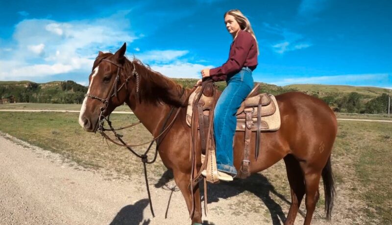 A young woman rides a brown horse across a sunny meadow