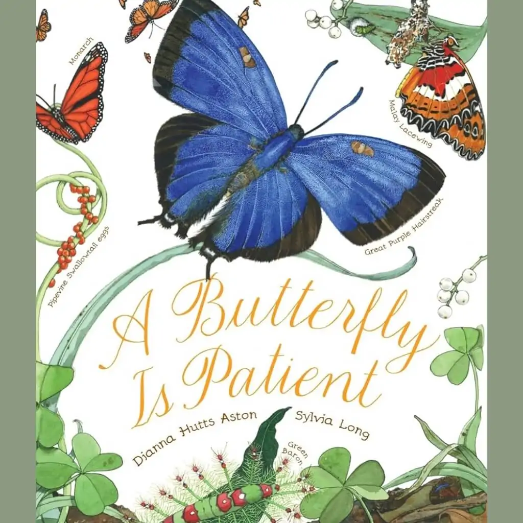 A Butterfly Is Patient