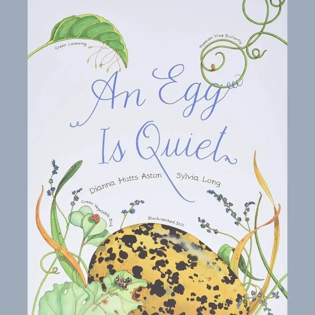 An Egg Is Quiet