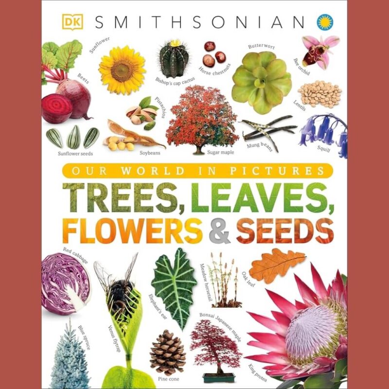 Trees, Leaves, Flowers and Seeds