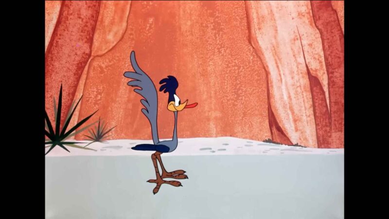 Animated cartoon roadrunner character standing in a desert landscape